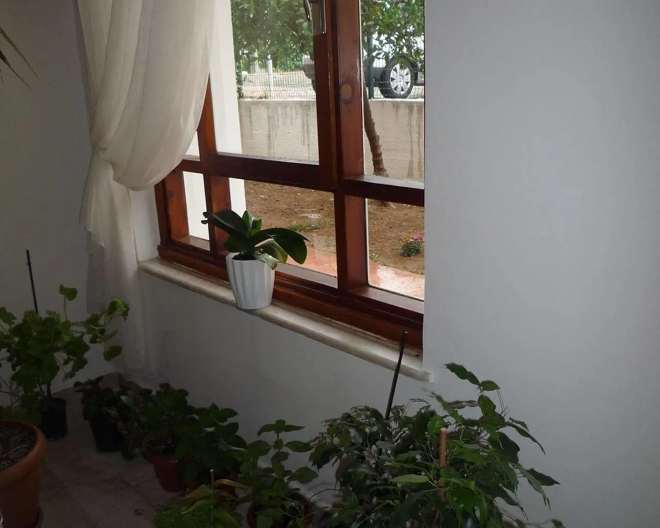 Pinus Otel أنطاليا فندق