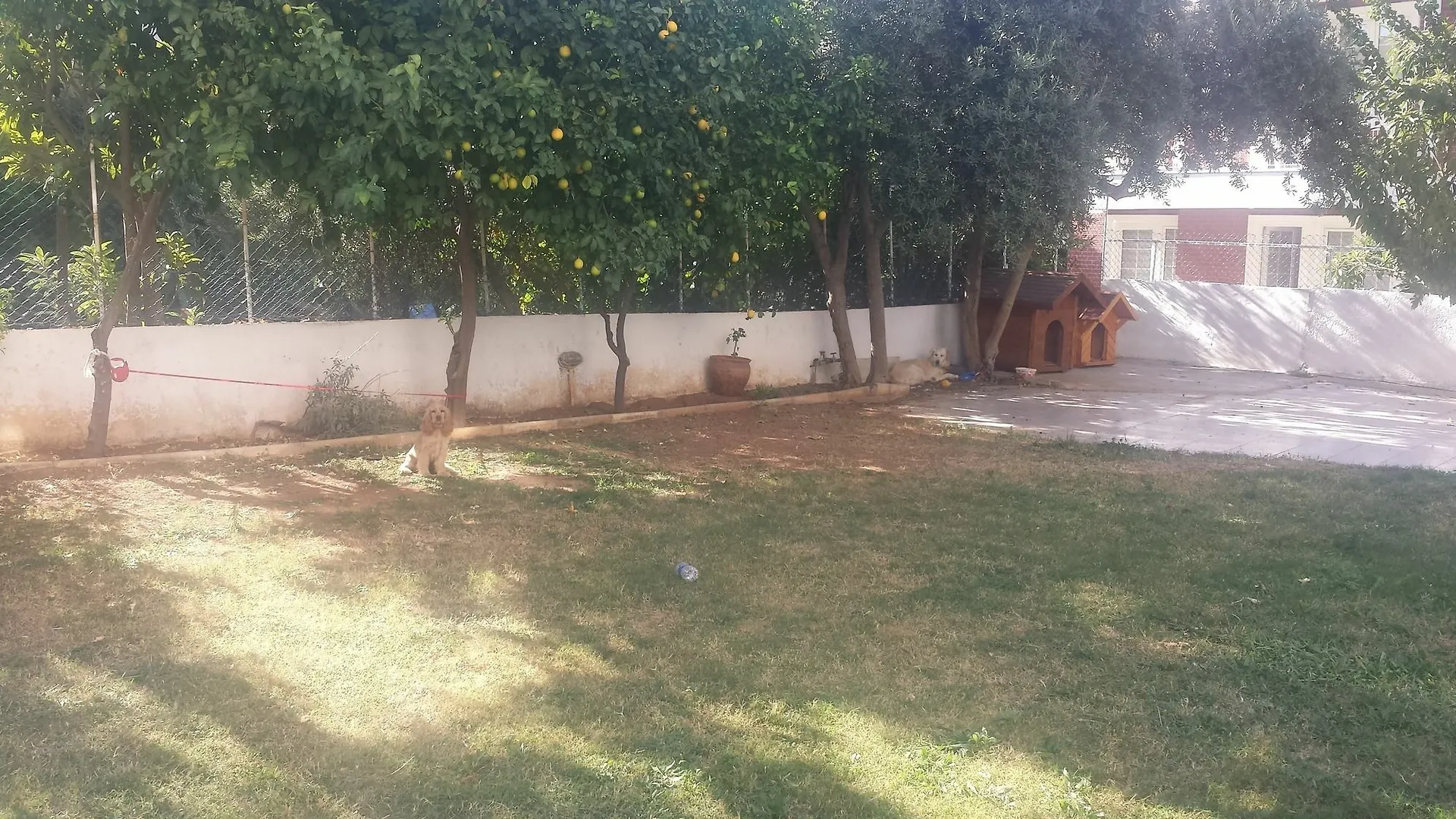 Pinus Otel أنطاليا تركيا