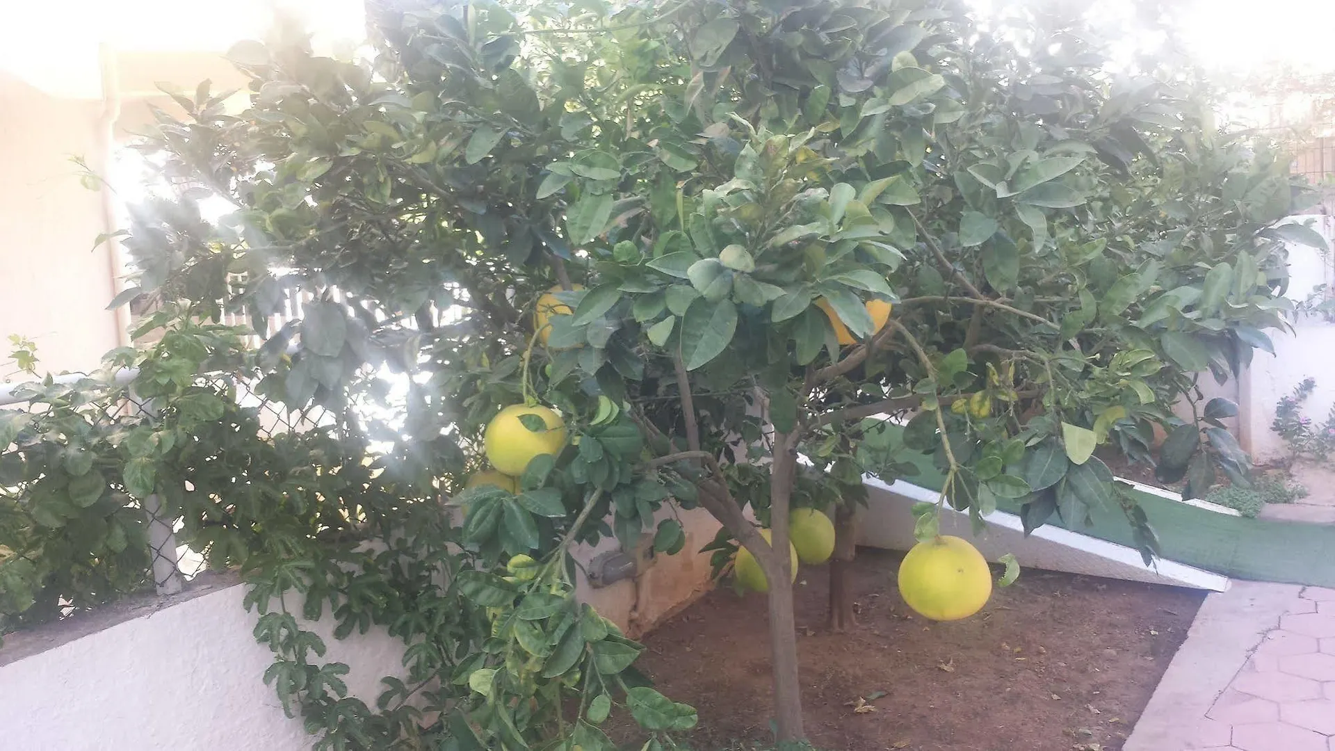 Pinus Otel Antalya Turkey
